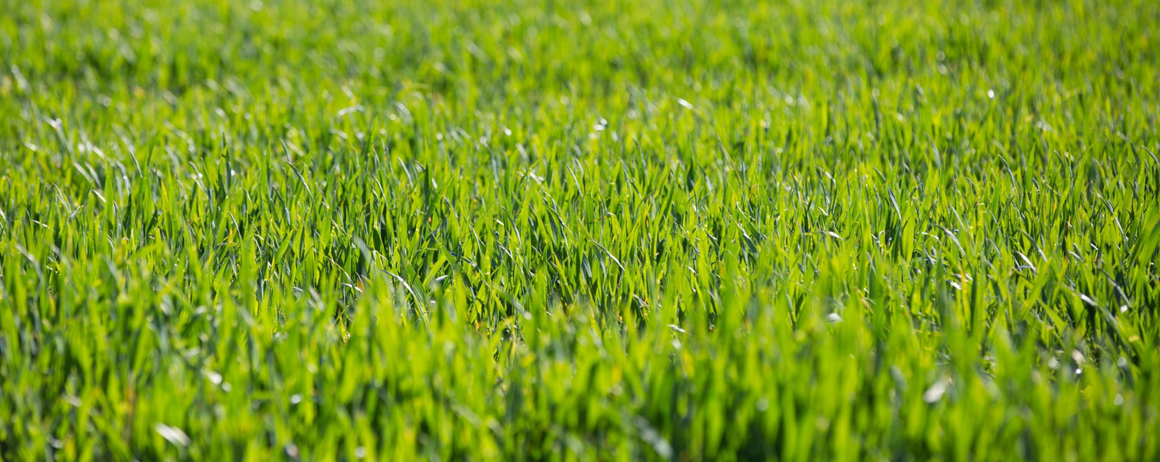 Agrobur - Taller de Reparación y Venta de Maquinaria / Aixam en Castellón